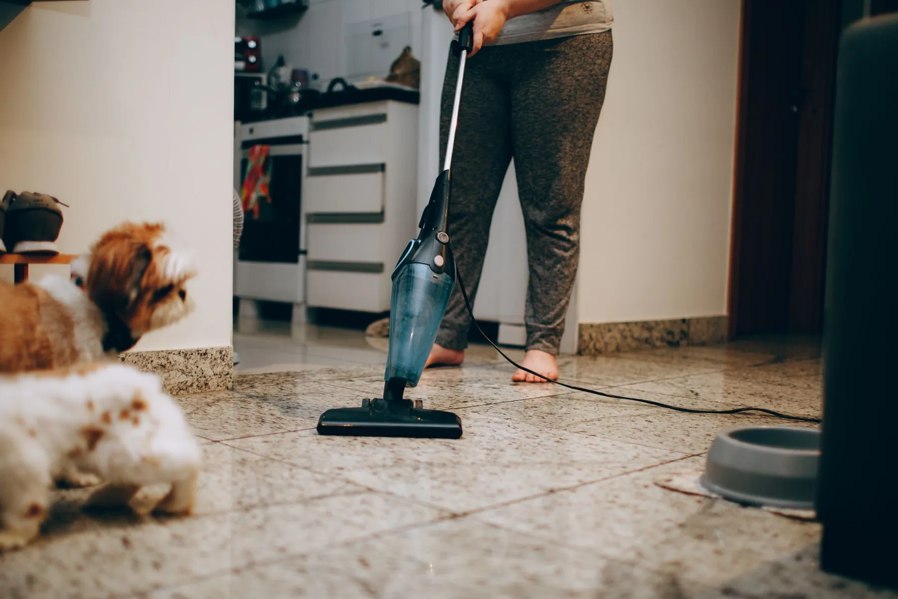 Vacuuming around two happy dogs